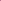 Roshni - 3 Colours - MUCH LOVE STORE
